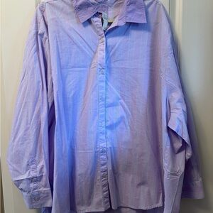 NWT Aerie Good Day Lavender Striped Button-Down Shirt